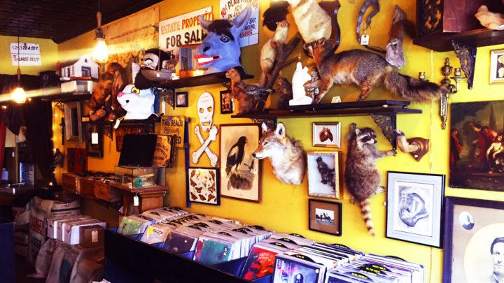 Stuffed animal heads and other body parts adorn a wall above shelves of used records at Black Gold Records in New York City