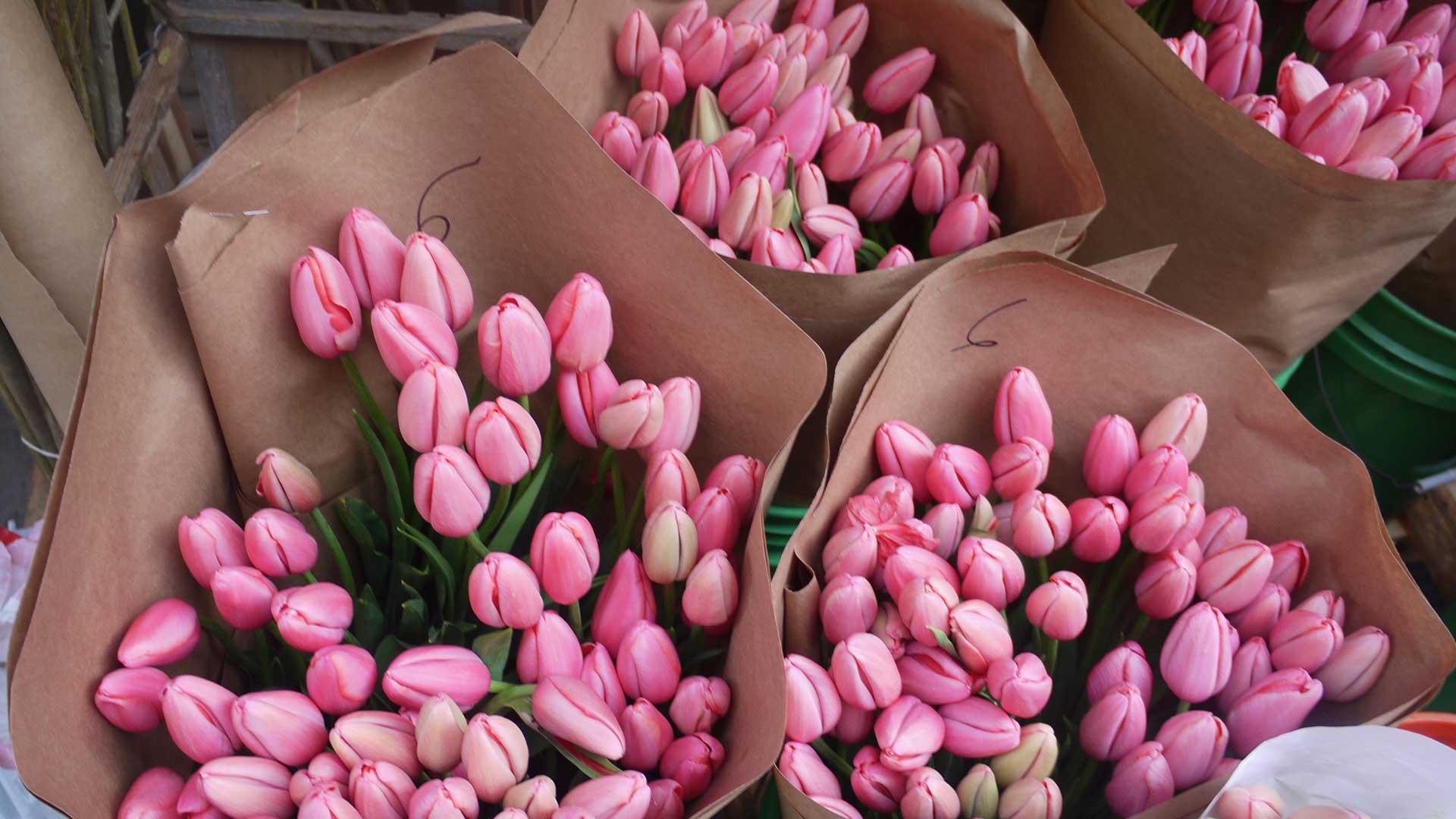 Pink flower bouquets at the flower market in New York City